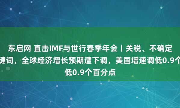 东启网 直击IMF与世行春季年会丨关税、不确定性成关键词，全球经济增长预期遭下调，美国增速调低0.9个百分点