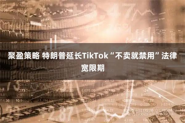 聚盈策略 特朗普延长TikTok“不卖就禁用”法律宽限期