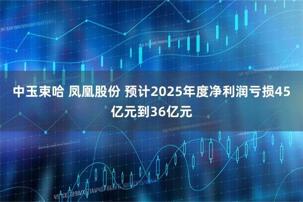 中玉束哈 凤凰股份 预计2025年度净利润亏损45亿元到36亿元