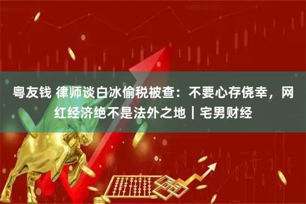 粤友钱 律师谈白冰偷税被查：不要心存侥幸，网红经济绝不是法外之地｜宅男财经